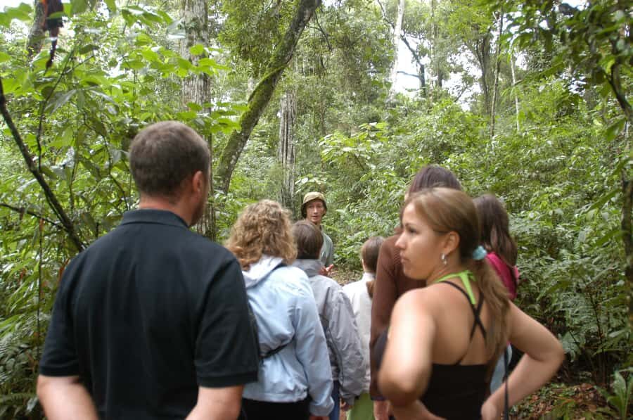 Half-Day Iguazú Forest Adventure - Puerto Iguazú pickup and timing: how the 4 hours usually feel