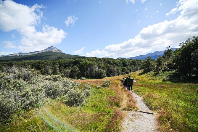 Half-Day Tierra del Fuego National Park with Lunch and Drinks - Price and Logistics: Why $108 Can Actually Make Sense