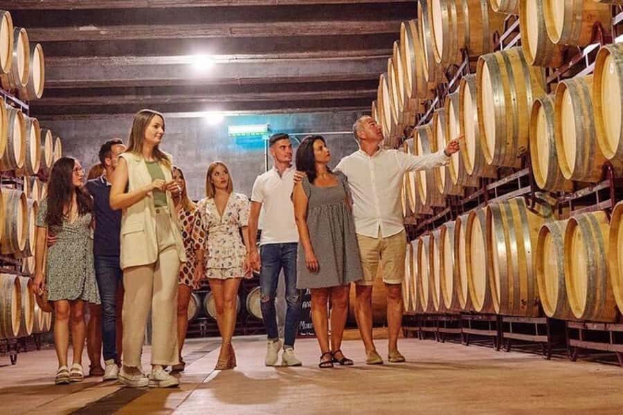 Half Day Tour of Wineries and Olive Oil from Mendoza - Key things I’d circle before you book
