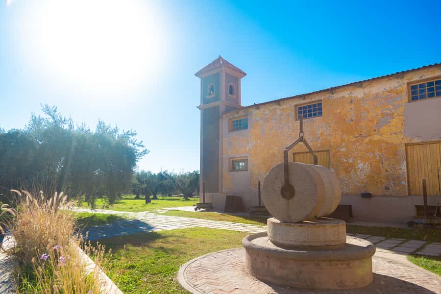 Half Day Tour of Wineries and Olive Oil from Mendoza - What You Can Buy and Transport by Plane (6-bottle hand luggage limit)