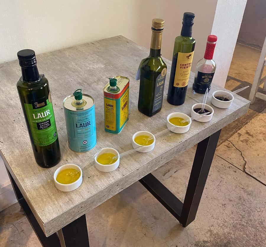 Half Day Tour of Wineries and Olive Oil from Mendoza - Who this half-day Mendoza tour is best for