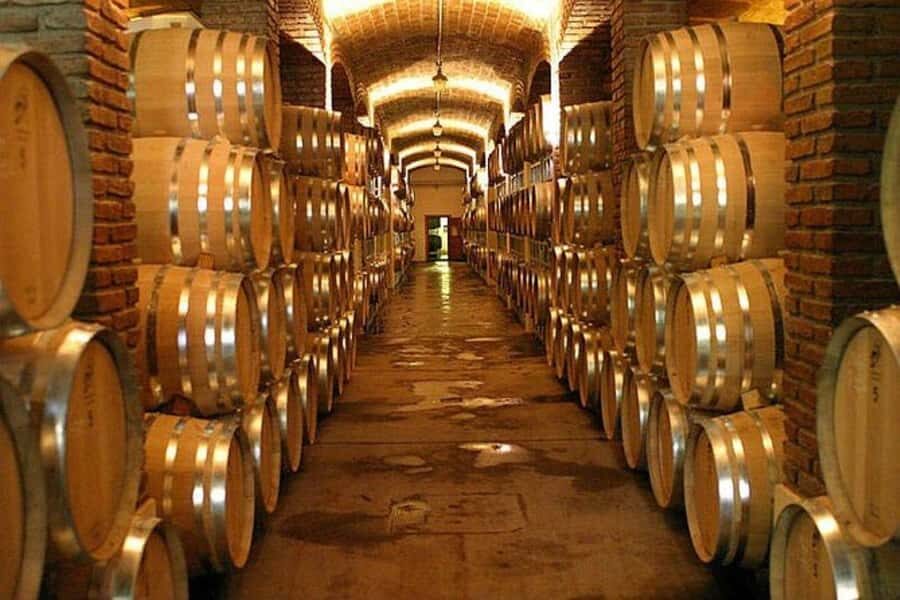 Half Day Tour of Wineries and Olive Oil from Mendoza - Two Boutique Winery Stops: Tastings With Production Details