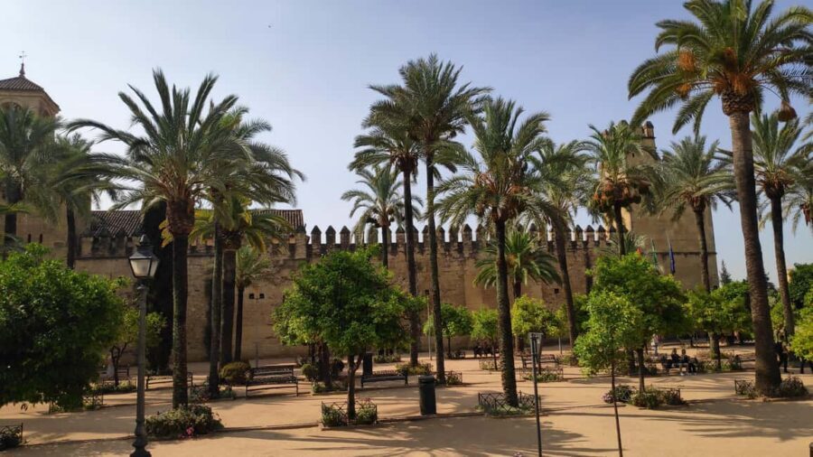 Heritage Córdoba: The most essential tour in Córdoba - Where to meet your guide (and how to not miss them)