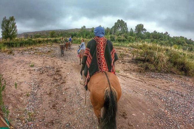Horseback ride through vineyards followed by gourmet lunch - The 90-minute ride: what you’re actually signing up for