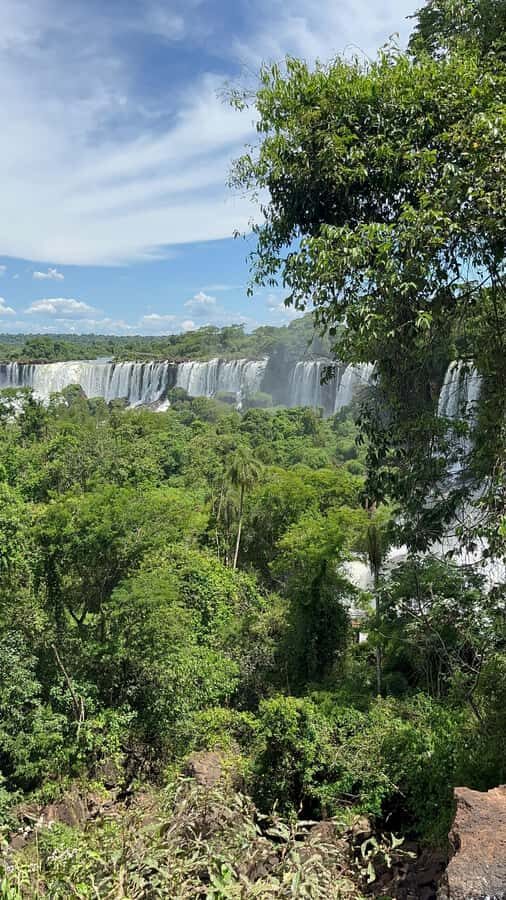 Iguassu Falls: Private Tour Argentina side - Why a private guide changes the Iguazú experience