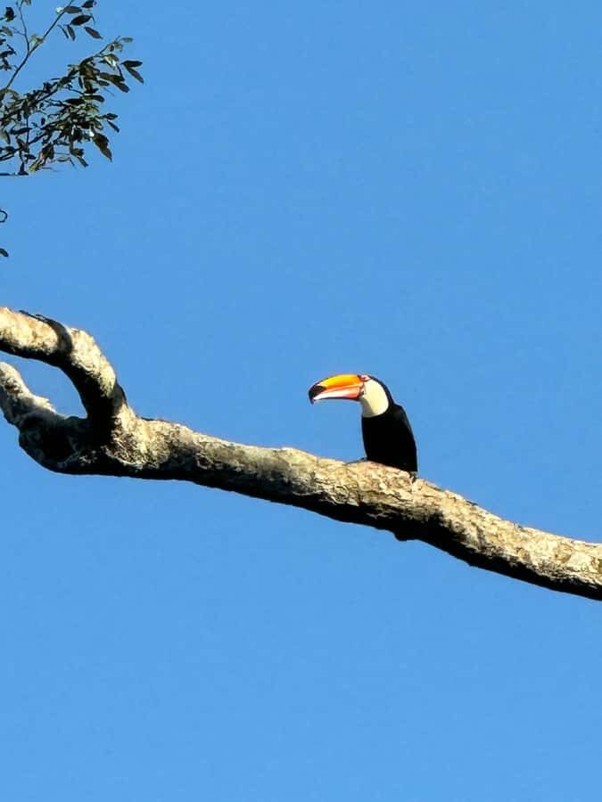 Iguassu Falls: Private Tour Argentina side - Price and value: what you’re paying for