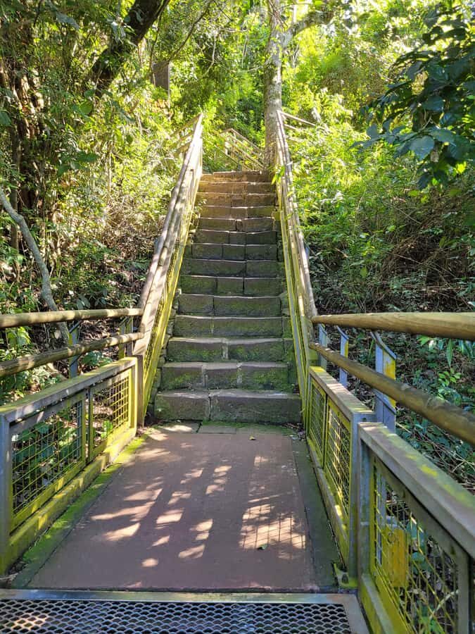 Iguazu Falls: Guided Tour in Argentinean Side - How the Private Guide Changes Your Day