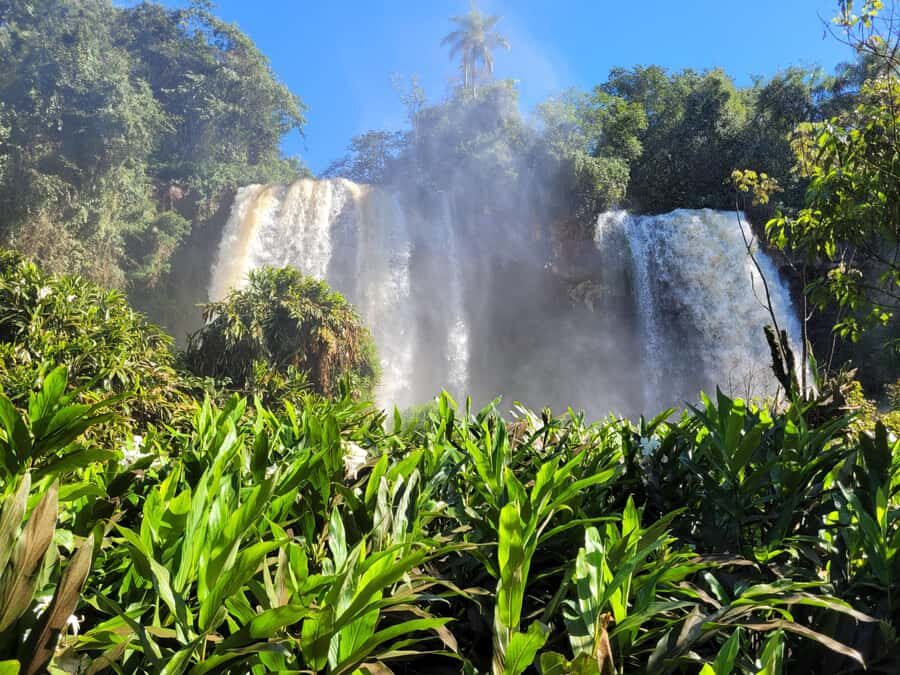 Iguazu Falls: Guided Tour in Argentinean Side - Price and Time: Does $245 Per Group Make Sense?