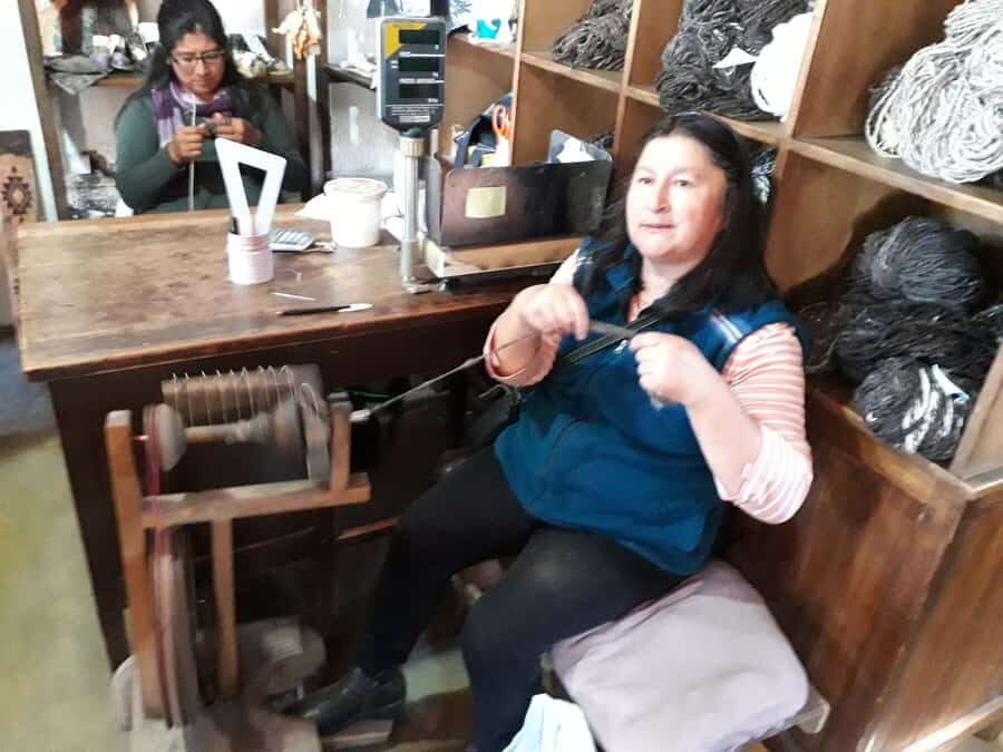 Indigenous People of Patagonia History Tour - Price and Value: What $41 Buys You in the Real World