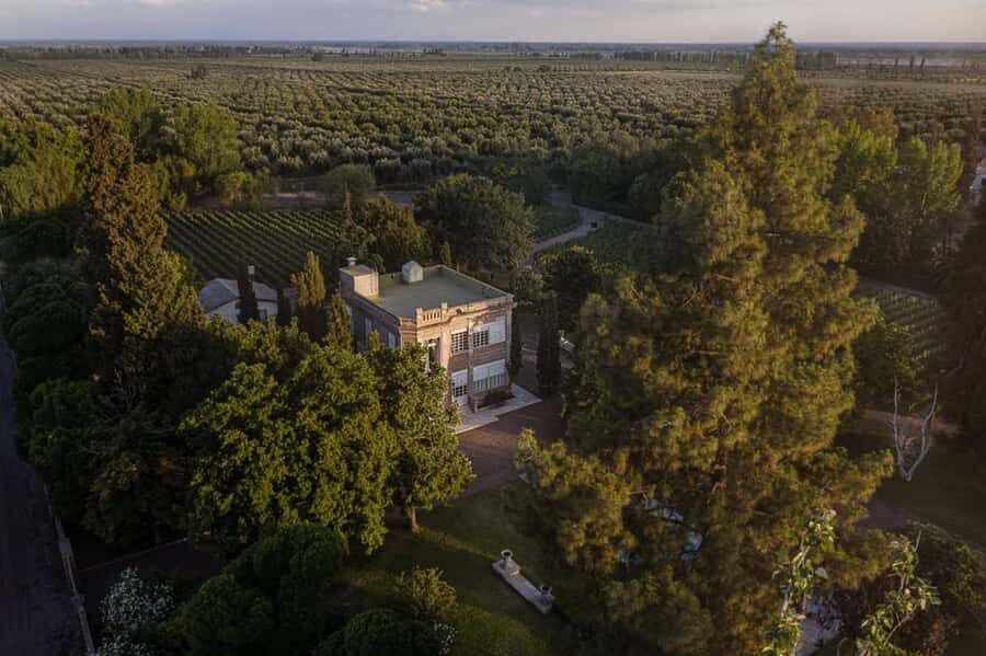 Luigi Bosca Winery Tour with Wine Tasting and Lunch - The schedule in Mendoza: pickup, transfer, and a 5-hour afternoon