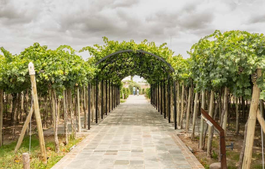 Mendoza: El Enemigo and Casa Vigil Wine Tour - Casa Vigil and El Enemigo: What Makes This Mendoza Stop Different