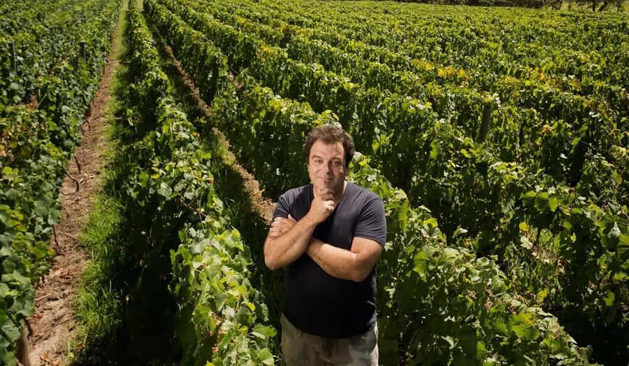 Mendoza: El Enemigo and Casa Vigil Wine Tour - The 4.5-Hour Flow: How the Day Actually Feels