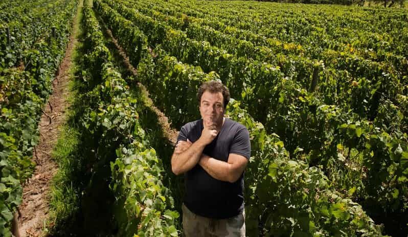 Mendoza: El Enemigo and Casa Vigil Wine Tour - Food and Wine: Timing Notes (and the One Thing to Confirm)