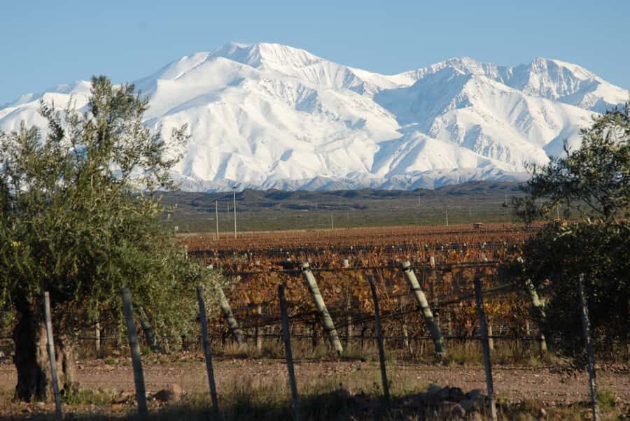 Mendoza: Full Day Wine Tour with 3 Course Lunch - 8 Hours With Pickup: How the Day Flows in Mendoza