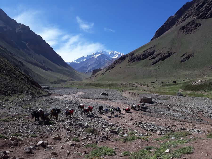 Mendoza: Mt. Aconcagua Confluencia Camp Trekking - Why Confluencia is the Aconcagua warm-up you actually feel