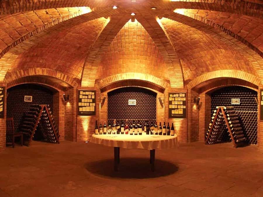 Mendoza: Small-Group Wineries Tour with Tasting and Lunch - Key Things I’d Plan Around