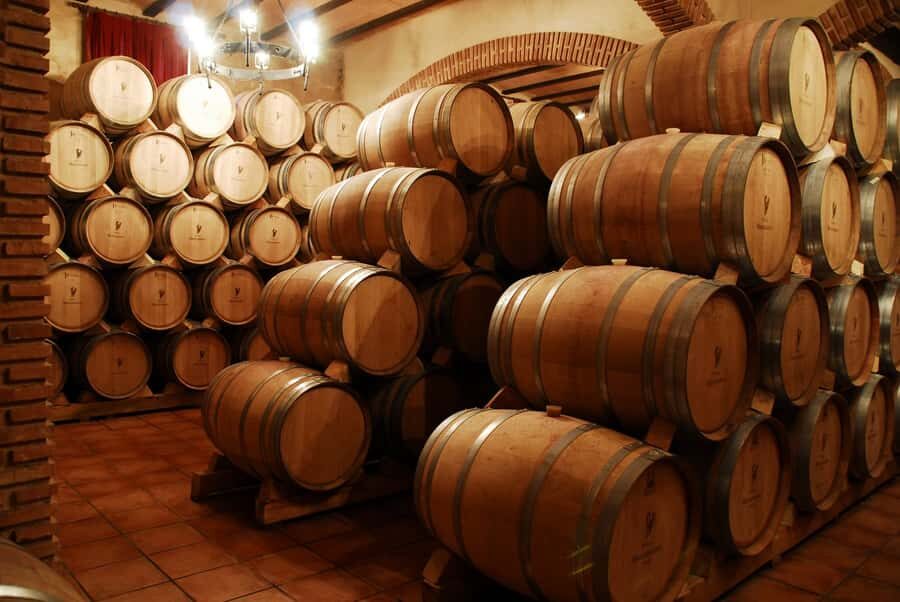 Mendoza: Small-Group Wineries Tour with Tasting and Lunch - The Afternoon Pickup That Sets the Tone