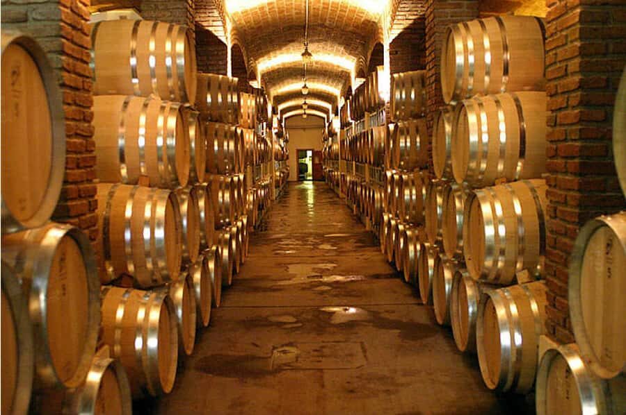 Mendoza: Small-Group Wineries Tour with Tasting and Lunch - The Guide and Language Reality (So You’re Not Caught Off Guard)