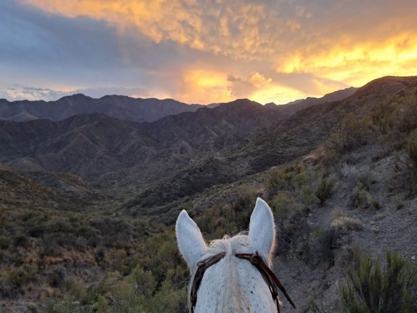 Mendoza: Sunset Horse Back Riding in the Mountains and BBQ - Who this is best for (and who should skip it)