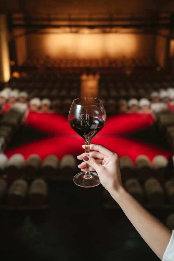 Mendoza: Tour with tasting and lunch High Altitude Wineries - Wine education without the pretension: how to get more from the tastings