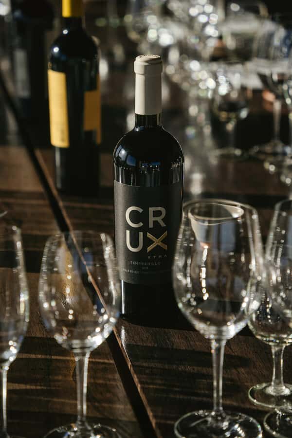 Mendoza: Tour with tasting and lunch High Altitude Wineries - Who should book this Mendoza high-altitude wineries day