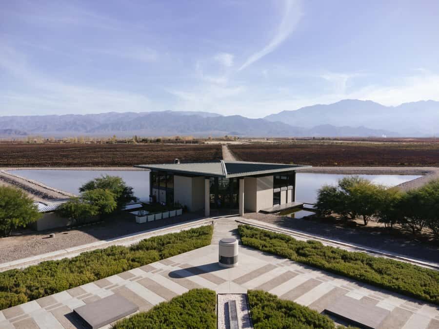 Mendoza: Tour with tasting and lunch High Altitude Wineries - Private transfer and timing: the Route 40 reality check