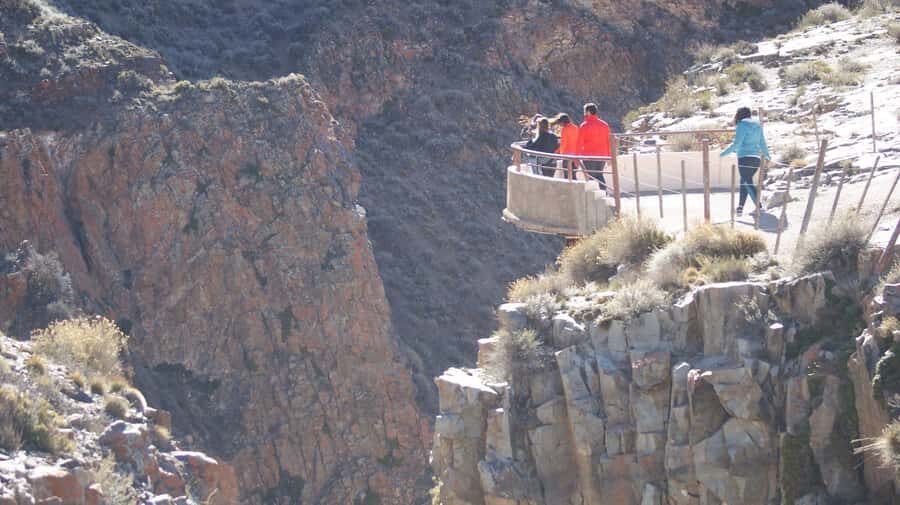 Mendoza: Villavicencio Nature Reserve 4x4 Tour with Lunch - Hornillos: guanaco watching from the comfort of the truck