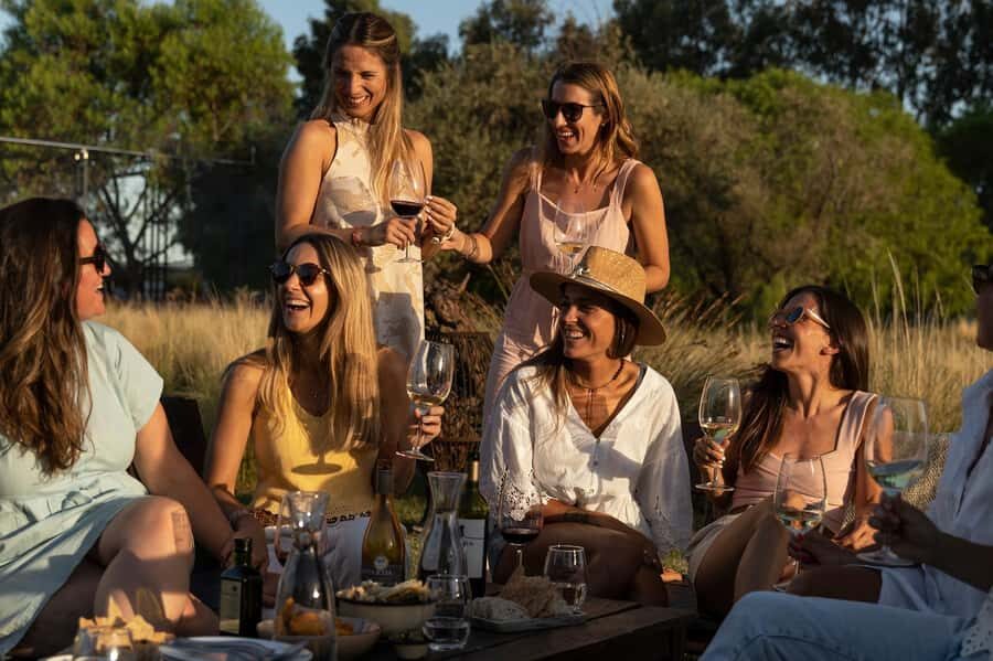 Mendoza: Wine Tasting Tour with Lunch and Private Transport - Price and value: why $220 can make sense