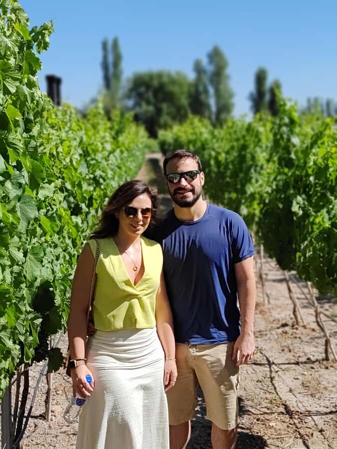 Mendoza's top wineries ! All Inclusive Private Tours! - Key highlights you’ll care about