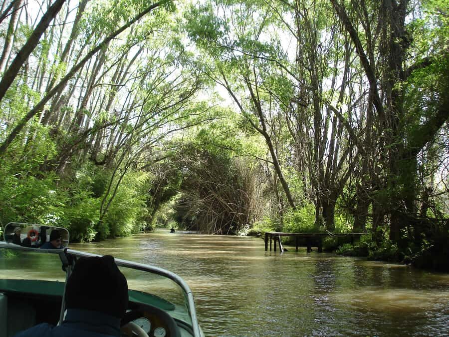 Navigation in Delta of Tigre - Exclusive semi private tour - Key things that make this Delta tour worth your time