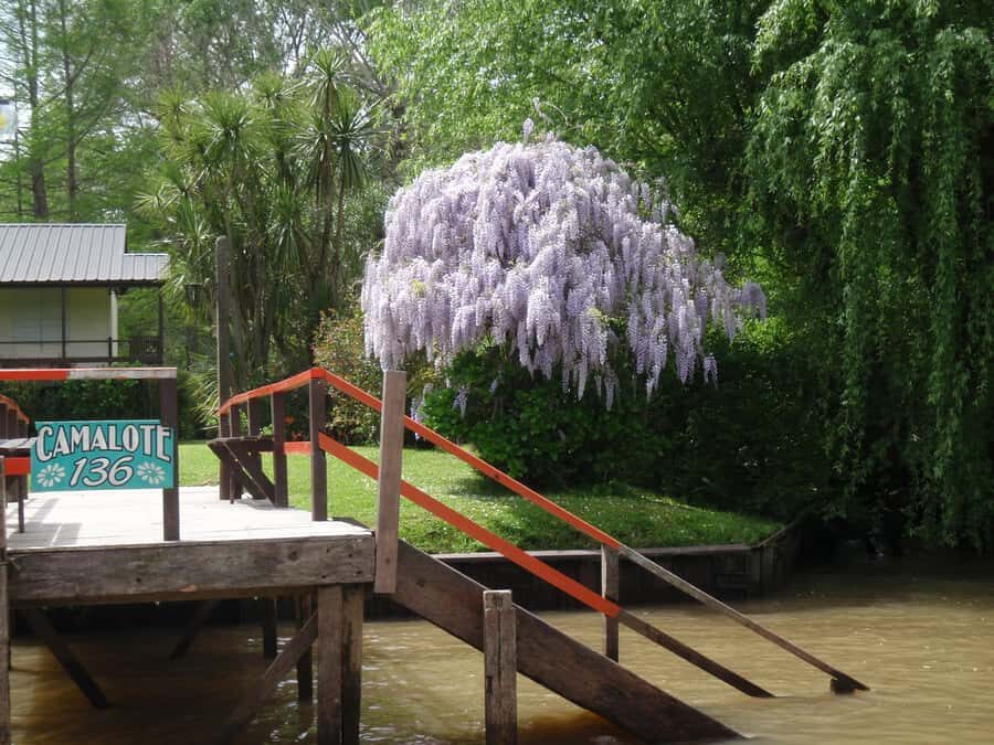 Navigation in Delta of Tigre - Exclusive semi private tour - Price and value: is $135 for 5 hours actually fair?