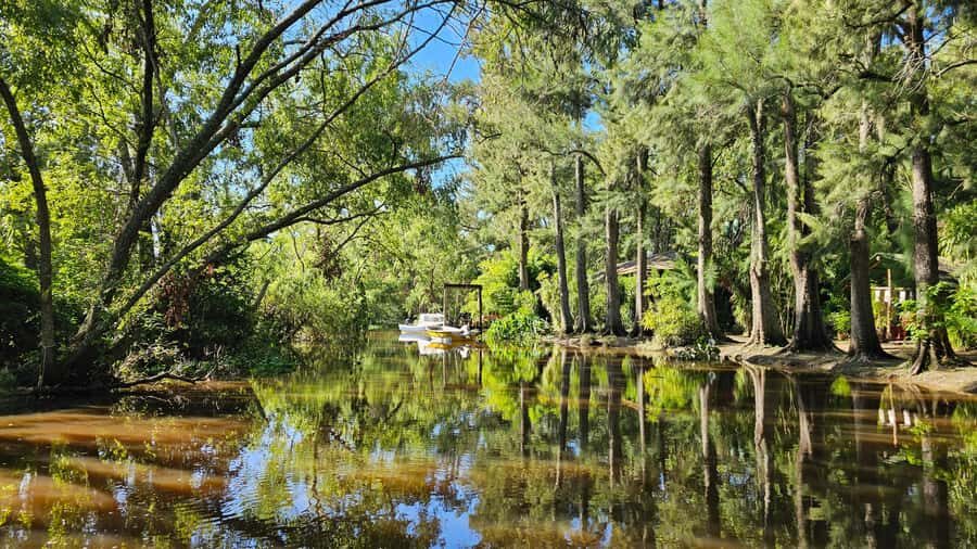 Navigation in Delta of Tigre - Exclusive semi private tour - On the water: 2 hours in wide rivers and skinny channels