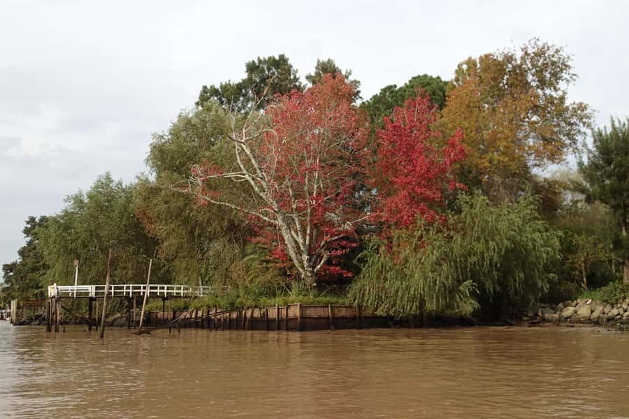 Navigation in Delta of Tigre - Exclusive semi private tour - Tigre on land: the short scenic build-up before the cruise