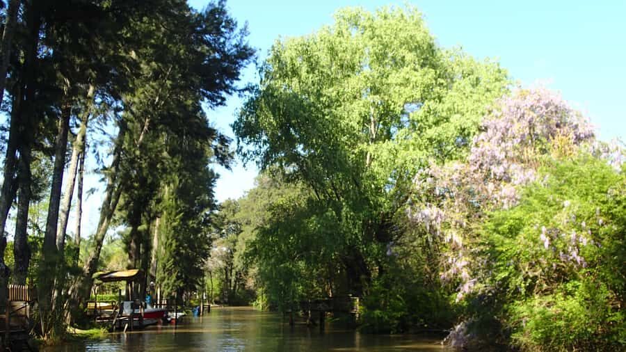 Navigation in Delta of Tigre - Exclusive semi private tour - Weather plans: reschedule or refund when navigation isn’t possible