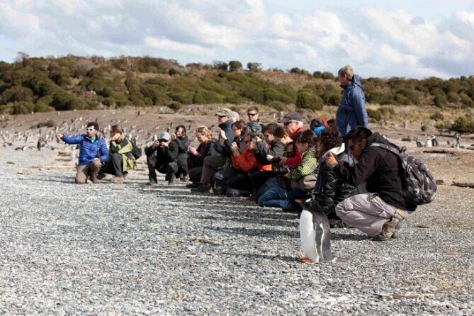 Penguin walk in Ushuaia + navigation option - Getting to the Pier: The 30-Minute Window You Can’t Ignore