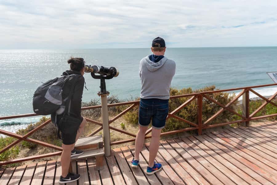 Peninsula Valdes Full Day Tour - Key highlights you’ll feel