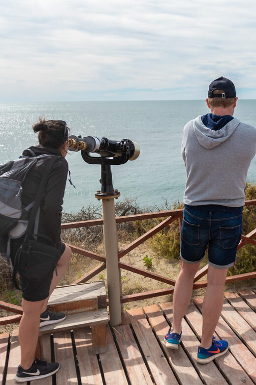 Peninsula Valdes Full Day Tour - Caleta Valdés: Elephant Seals and Magellanic Penguins (Sep–mid-April)