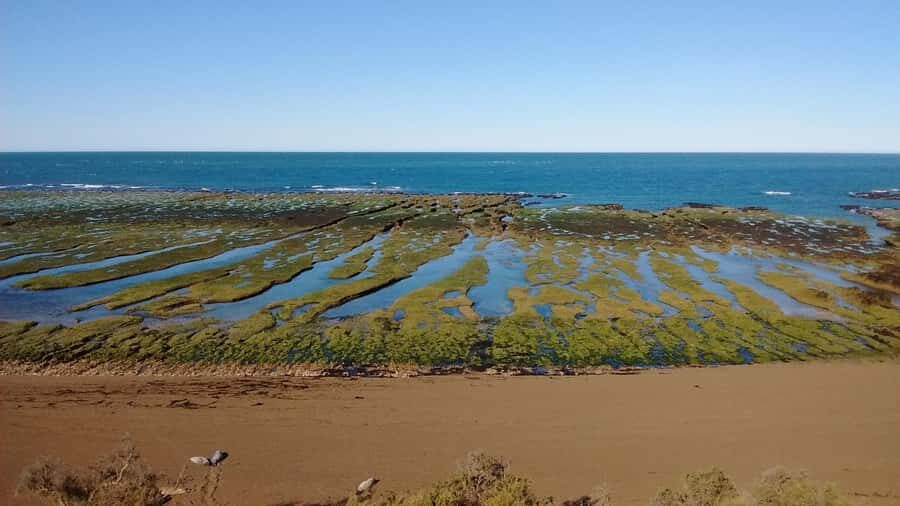 Peninsula Valdes: Shore excursion for cruise passengers - Istmo Carlos Ameghino: the visitor-centre stop that sets the mood
