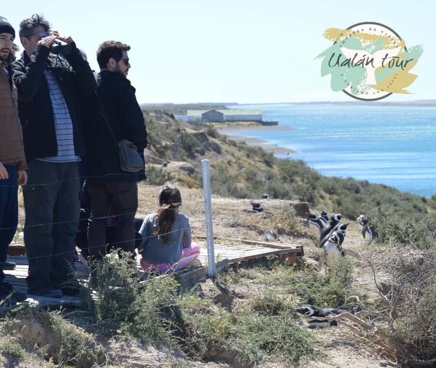 Peninsula Valdes: Shore excursion for cruise passengers - The van ride reality: time on the road vs time with animals