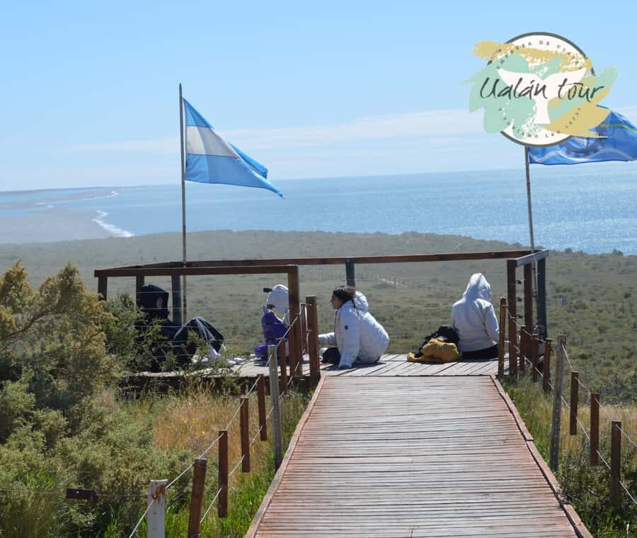 Peninsula Valdes: Shore excursion for cruise passengers - Caleta Valdés: where the wildlife time actually happens