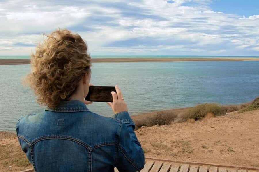 Peninsula Valdes Shore Tour for Cruise Passengers + City - Price and Value: What You’re Paying for at $105