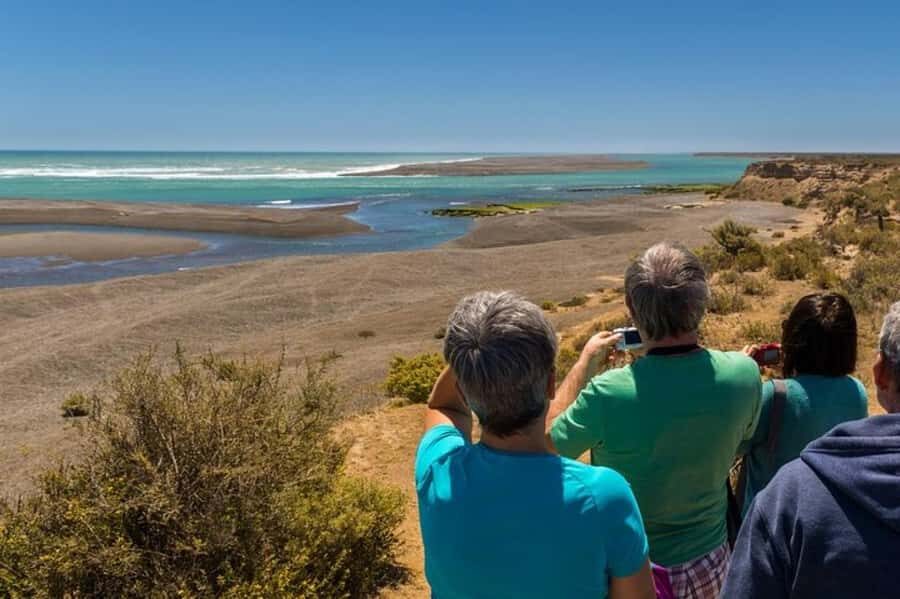 Peninsula Valdes Shore Tour for Cruise Passengers + City - Getting From the Pier: the Long Van Ride (and Why It’s Worth It)