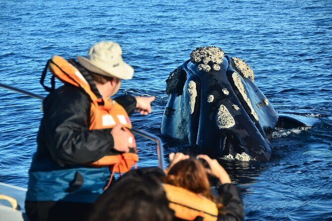 Peninsula Valdes Tour with Optional Whale Watching - Istmo Ameghino: the quickest way to understand what you’ll see