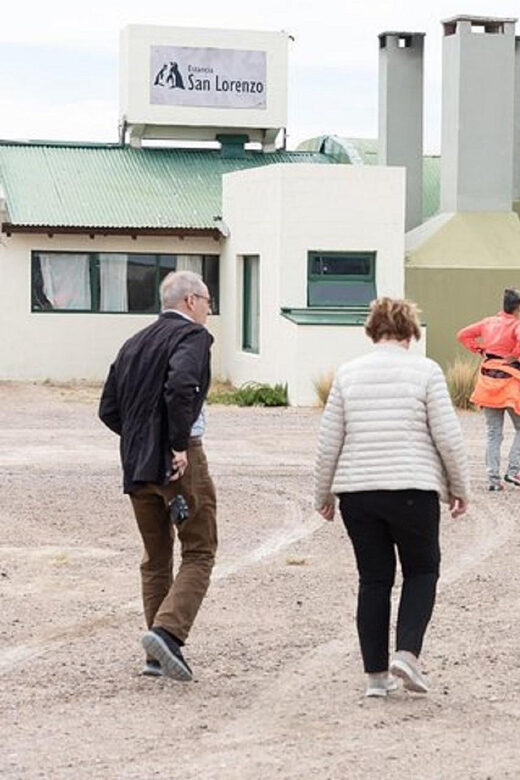 Península Valdés with Estancia San Lorenzo (Full Day) - Who this tour fits best (and who might want alternatives)