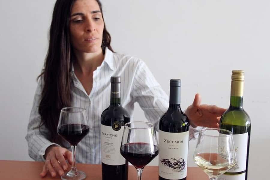 Premium Argentinian Wine and Malbec Tasting & Urban Art Tour - Quick take: what you’ll remember most