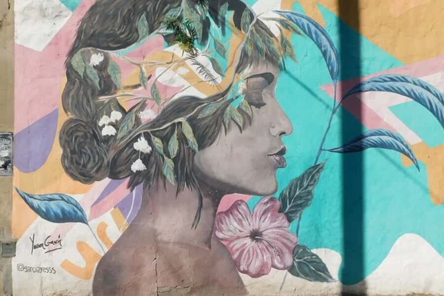 Premium Argentinian Wine and Malbec Tasting & Urban Art Tour - Palermo Soho walking tour: why this neighborhood part works