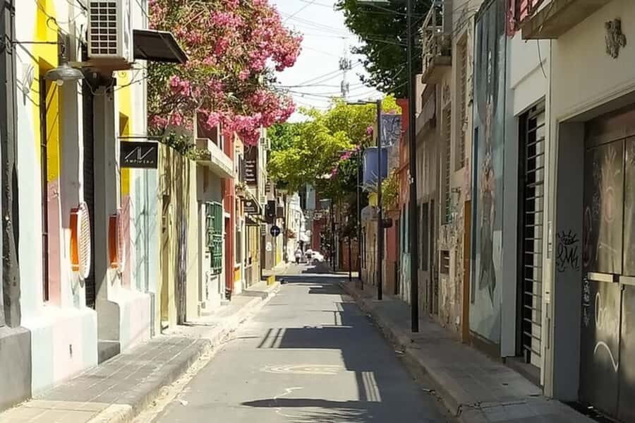 Premium Argentinian Wine and Malbec Tasting & Urban Art Tour - Wine tasting in 3 hours: Malbec plus Argentina’s variety