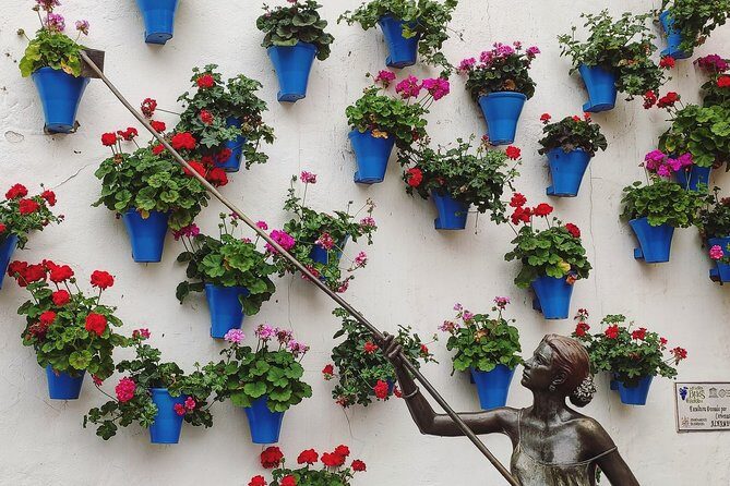 Private Córdoba Highlights Walking Tour - Why a private highlights walk beats wandering alone in Córdoba