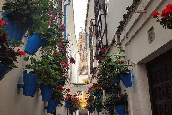 Private Córdoba Highlights Walking Tour - Guide quality: what Francisco/Francesco-style storytelling does for a short tour