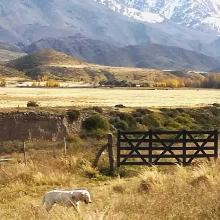 Private Experience: Horseback Riding and BBQ in the Mountain - Estancia La Carrera - Who should book this private country day